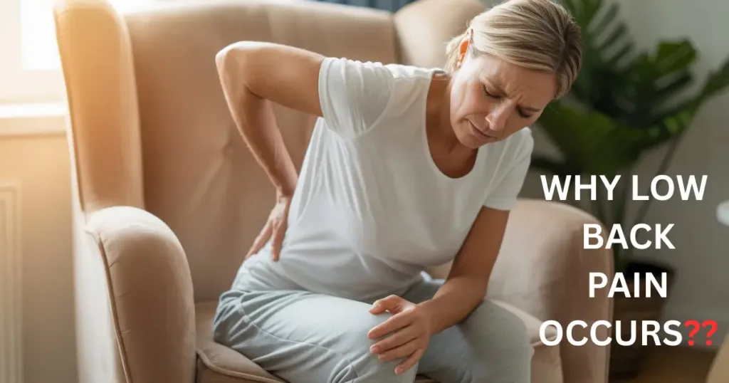 WHY LOW BACK PAIN OCCURS