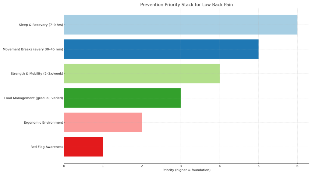 what causes lower back pain