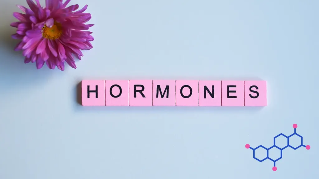 low back pain during pregnancy
