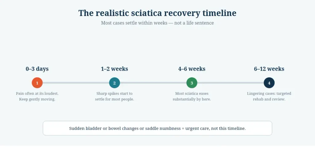 "A graphic titled 'The realistic sciatica recovery timeline' showing four stages: 0 to 3 days (pain at its loudest), 1 to 2 weeks (sharp spikes start to settle), 4 to 6 weeks (most sciatica eases substantially), and 6 to 12 weeks (targeted rehab for lingering cases). A warning at the bottom states that sudden bladder, bowel changes, or saddle numbness require urgent medical care."
